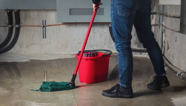 Best Professional water damage repair  in East Norwich, NY