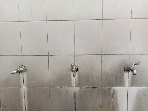Best Water damage restoration cost  in East Norwich, NY