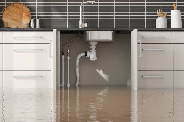 Best Flood damage cleanup  in East Norwich, NY