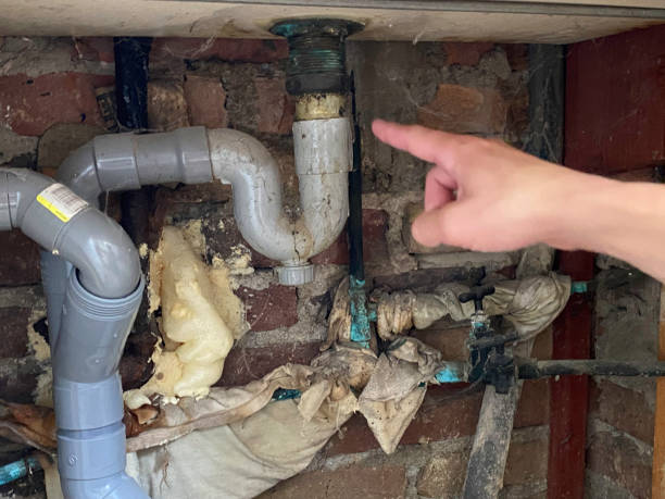 Best Carpet water damage restoration  in East Norwich, NY