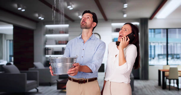 Best 24-hour water damage restoration  in East Norwich, NY