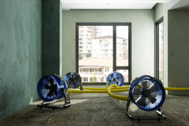 Best Water damage repair service  in East Norwich, NY