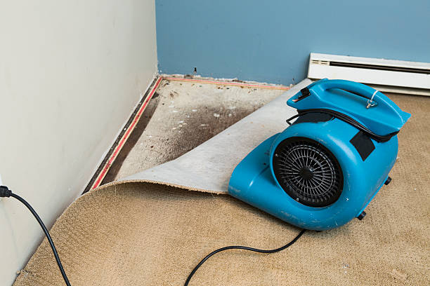  East Norwich, NY Water damage restoration Pros